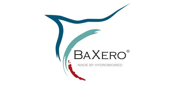 BAXERO disinfectant solution 1000l